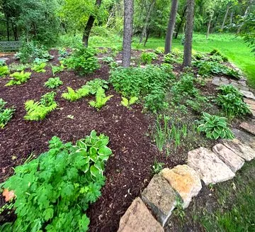 Custom lawn care service in Rochester, MN - MoNeve Outdoor Services