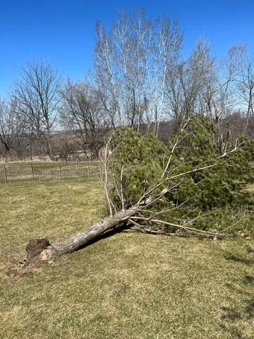 Professional residential landscaping for outdoor upgrades across Rochester, MN - MoNeve Outdoor Services