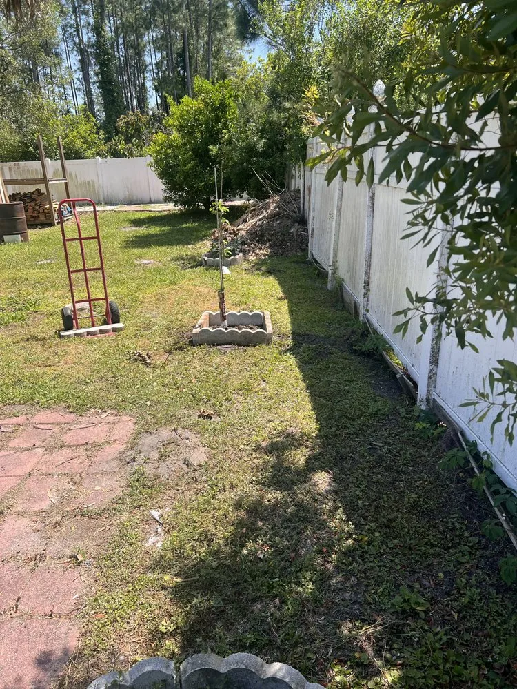 Custom lawn care service for residential properties across Palm Coast, FL - Money J Lawn Care