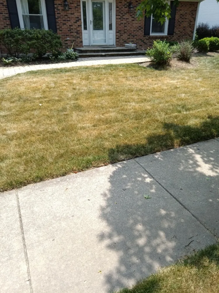 Custom landscape design in Genoa City, WI - Money Movers