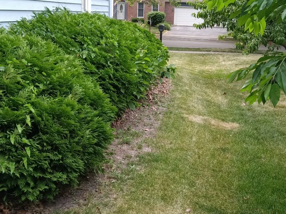 Reliable landscaping services in Genoa City, WI by Money Movers