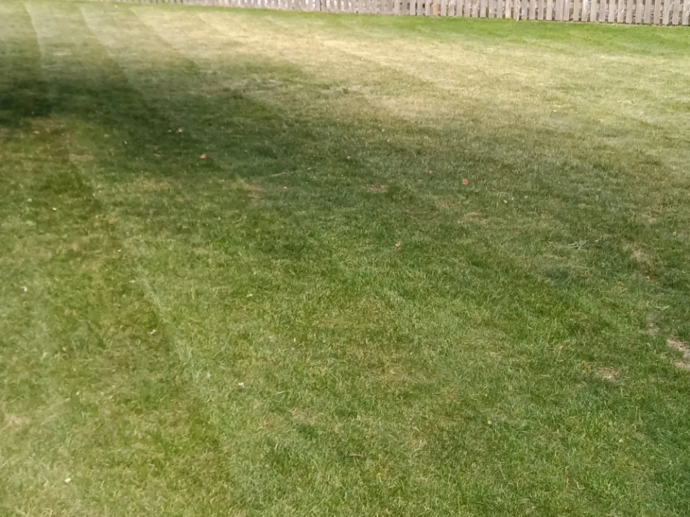 Trusted landscape installation for year-round maintenance in Genoa City, WI by Money Movers