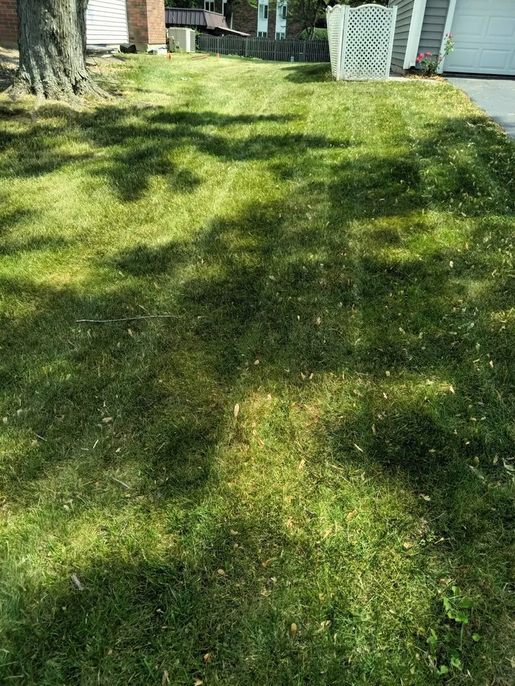 Reliable landscape installation for year-round maintenance across Genoa City, WI - Money Movers