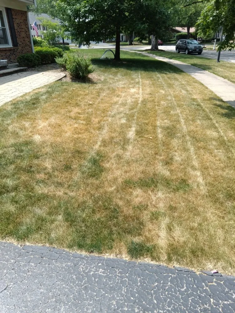 Reliable yard maintenance in Genoa City, WI - Money Movers