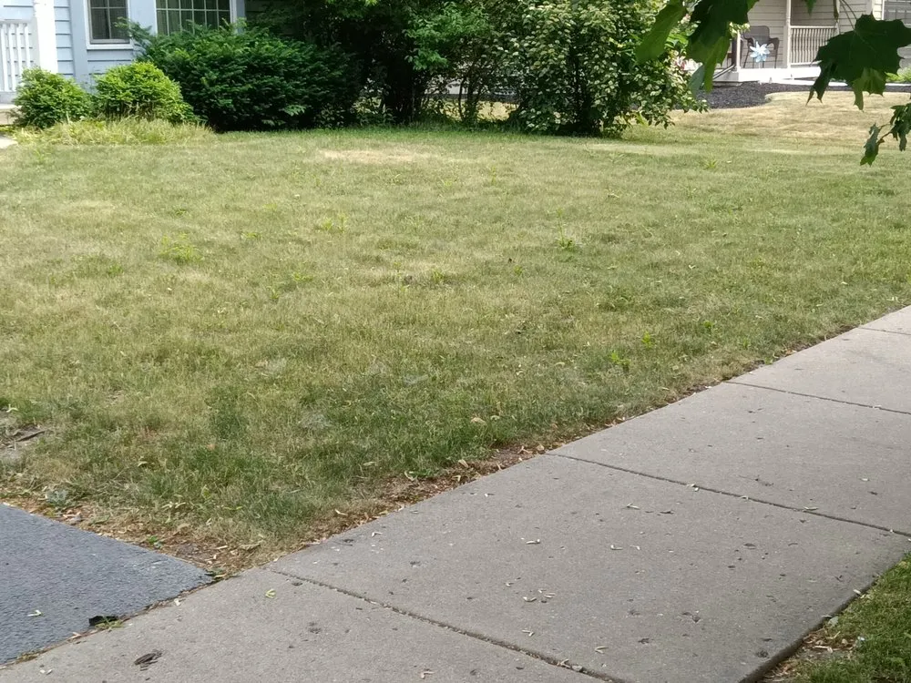 Reliable yard maintenance for beautiful yards in Genoa City, WI by Money Movers