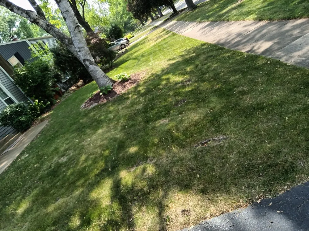 Local residential landscaping in Genoa City, WI - Money Movers