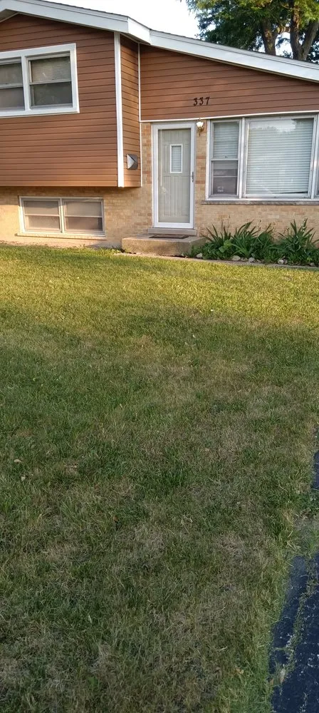 Professional landscape installation for homes across Genoa City, WI - Money Movers