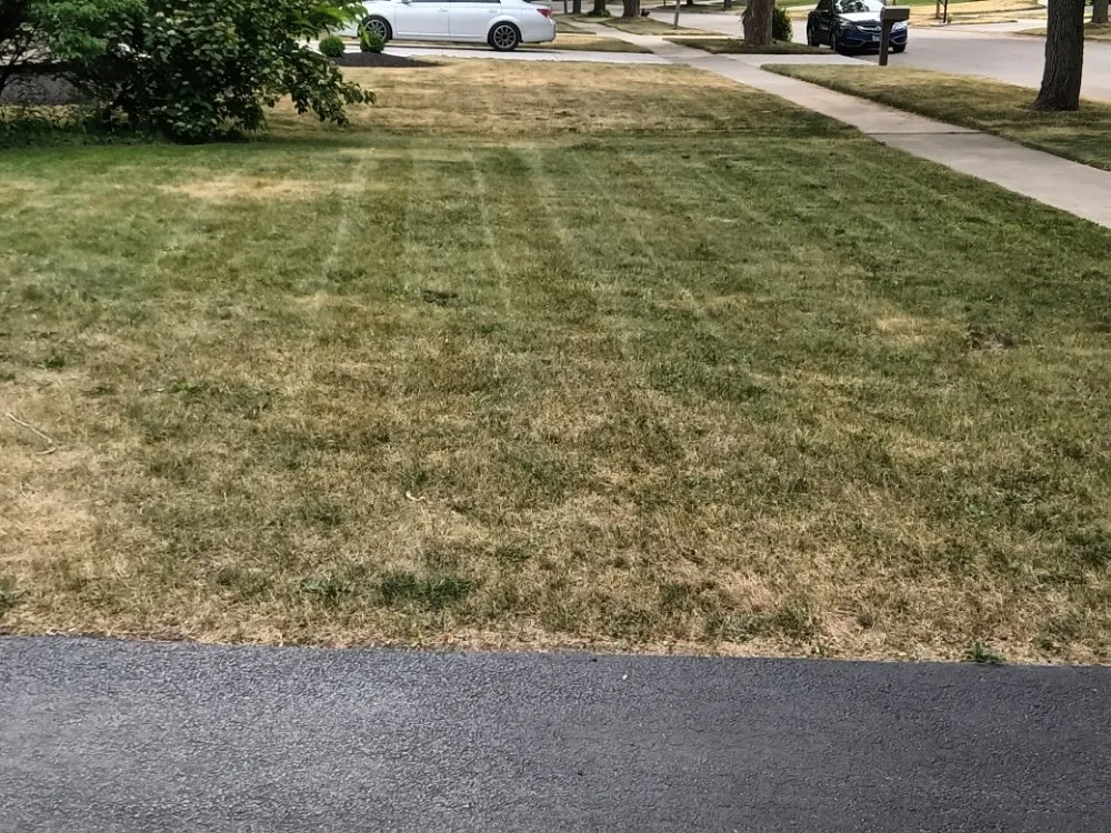 Custom yard maintenance in Genoa City, WI - Money Movers