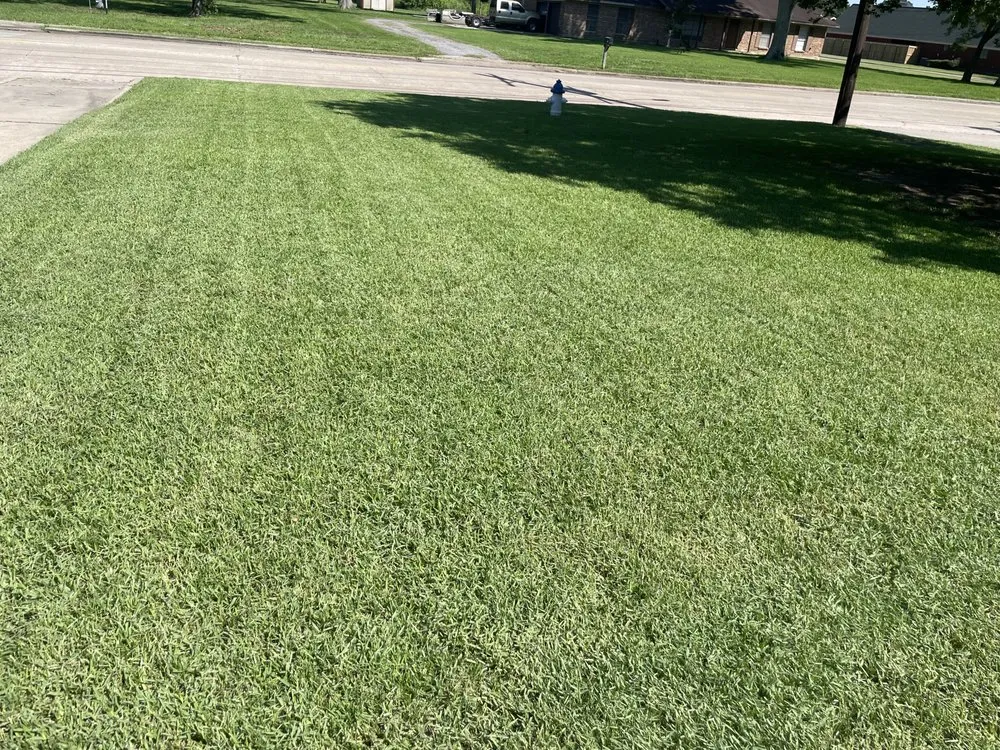 Affordable lawn care service in Port Neches, TX by MoneyMagic Lawn Service