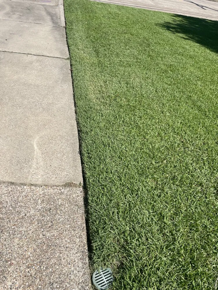 Affordable garden landscaping in Port Neches, TX by MoneyMagic Lawn Service