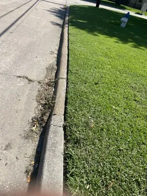 MoneyMagic Lawn Service Logo