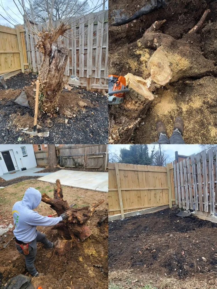 Local garden landscaping in Washington DC, DC - Monge Landscaping