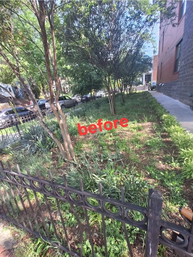 Professional residential landscaping for year-round maintenance in Washington DC, DC by Monge Landscaping