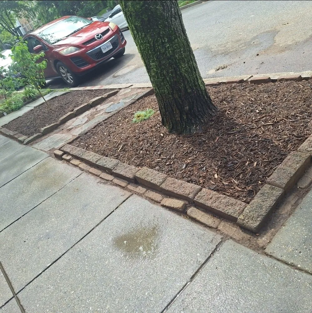 Affordable outdoor landscaping near you across Washington DC, DC - Monge Landscaping