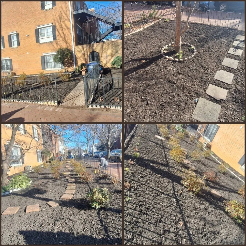 Reliable residential landscaping in Washington DC, DC - Monge Landscaping