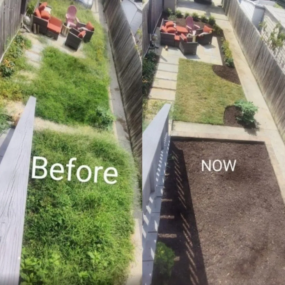 Affordable landscaping services in Washington DC, DC - Monge Landscaping