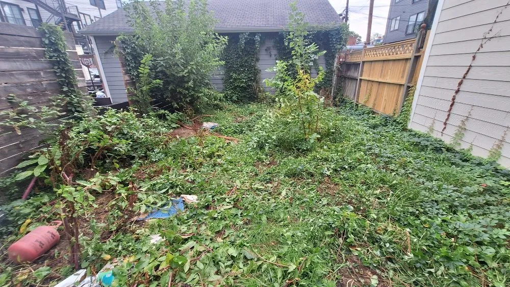 Trusted residential landscaping in Washington DC, DC - Monge Landscaping