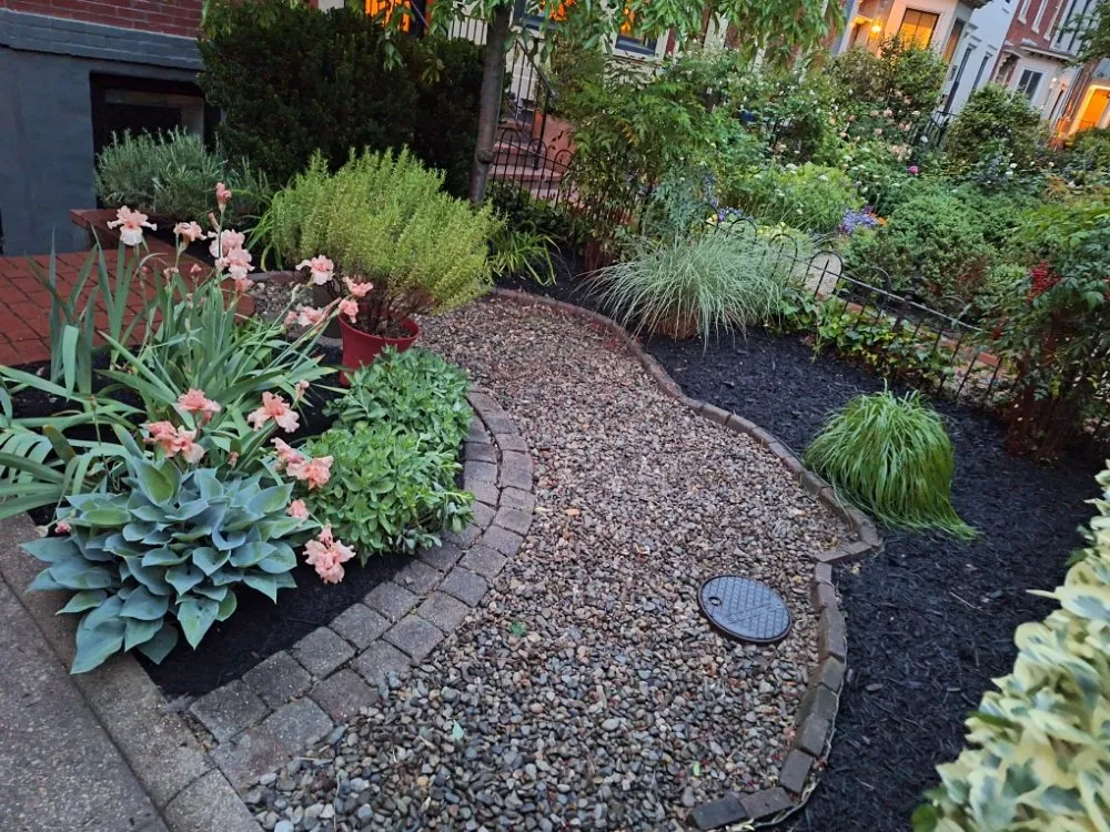 Local yard maintenance experts serving Washington DC, DC - Monge Landscaping