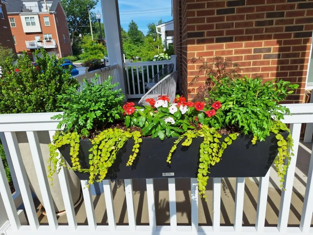 Top-rated yard cleanup service for residential properties across Washington DC, DC - Monge Landscaping