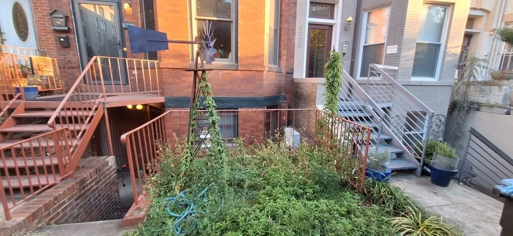 Expert yard maintenance for outdoor upgrades across Washington DC, DC - Monge Landscaping