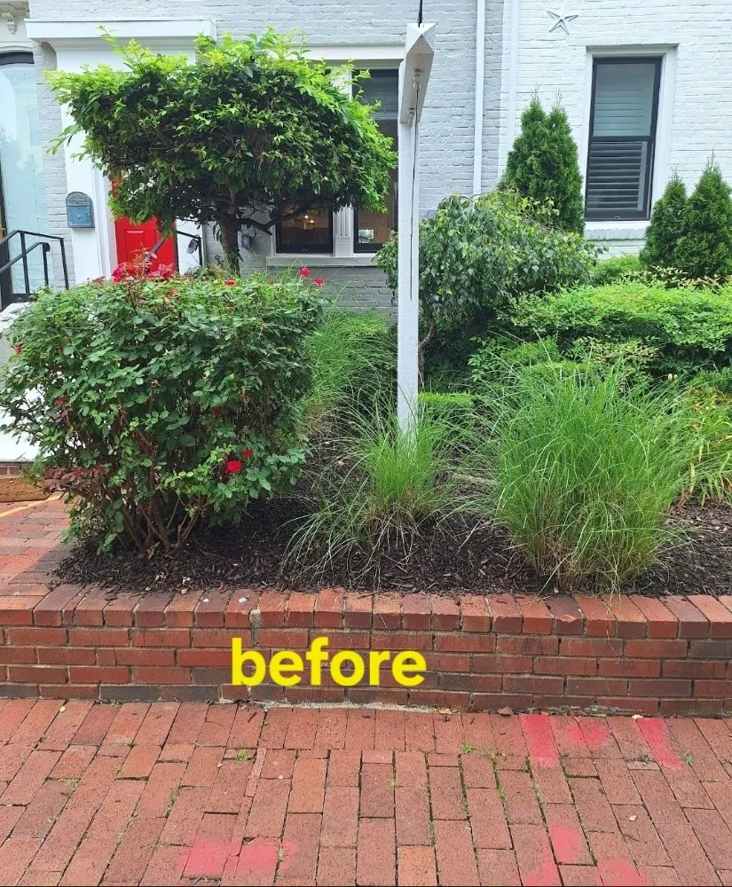 Custom garden landscaping in Washington DC, DC - Monge Landscaping