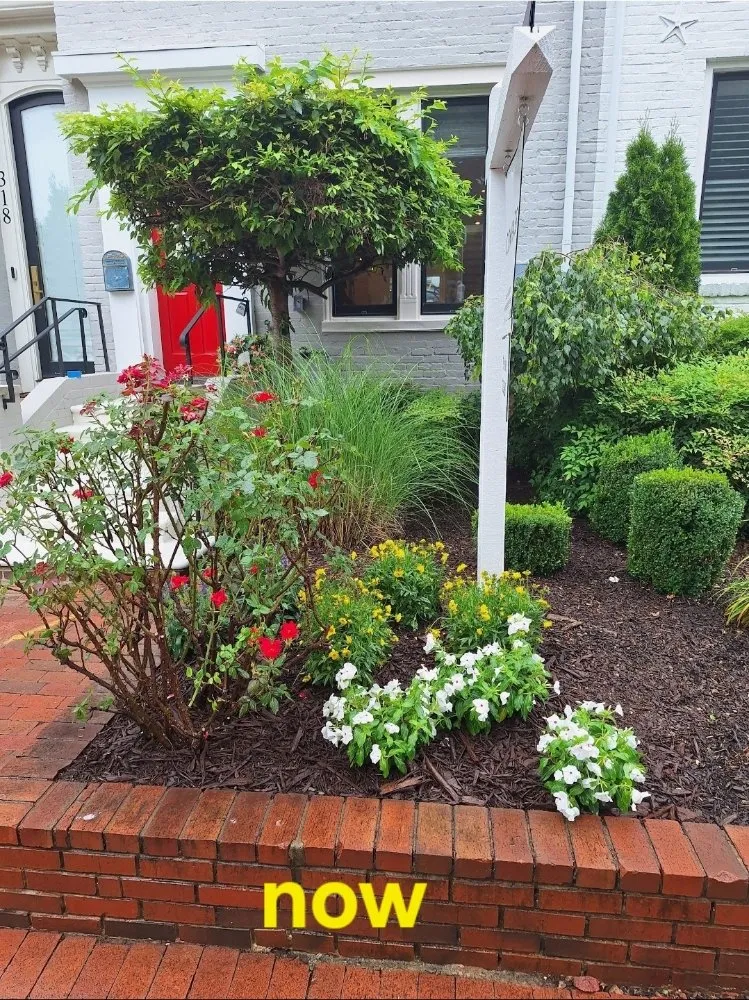 Expert outdoor landscaping for homes across Washington DC, DC - Monge Landscaping