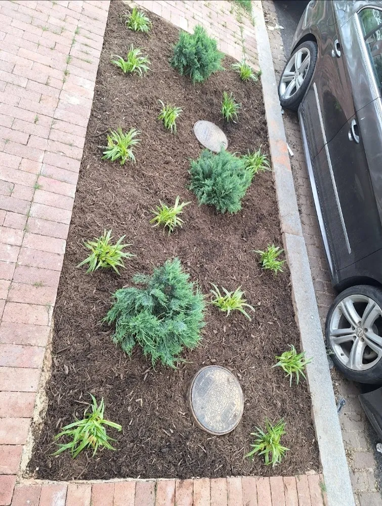 Top-rated landscape design for outdoor upgrades across Washington DC, DC - Monge Landscaping