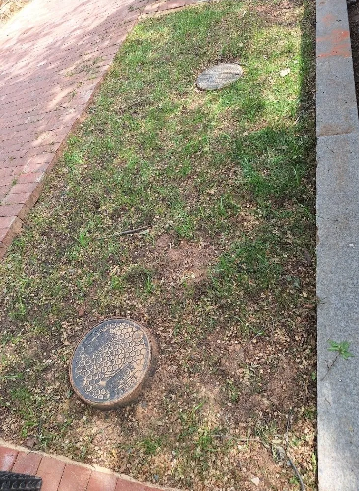 Custom landscaping services experts serving Washington DC, DC - Monge Landscaping