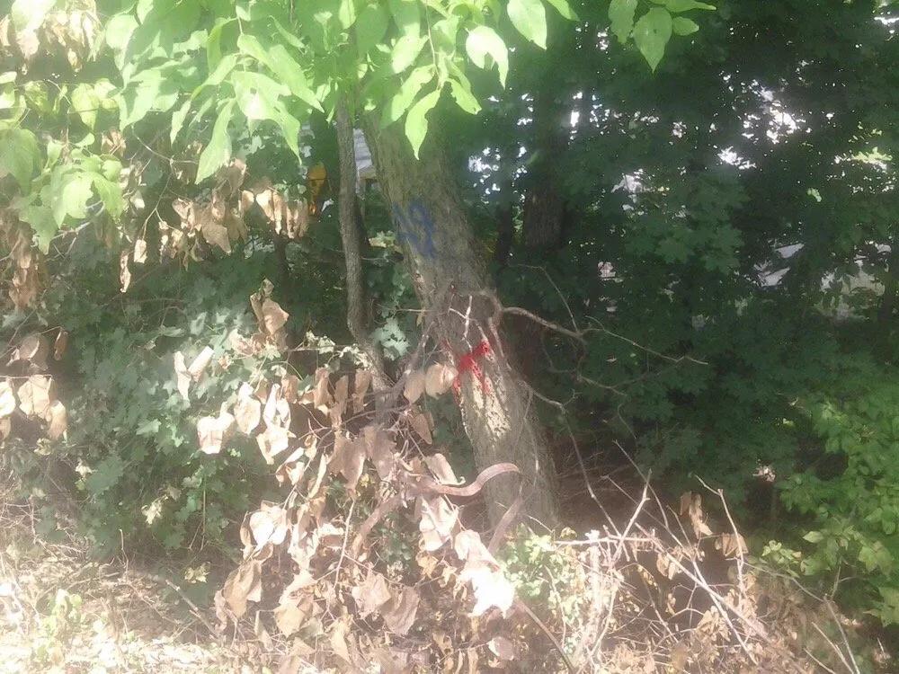 Expert yard cleanup service for beautiful yards across Mechanicsburg, PA - Monighan Lawn Care