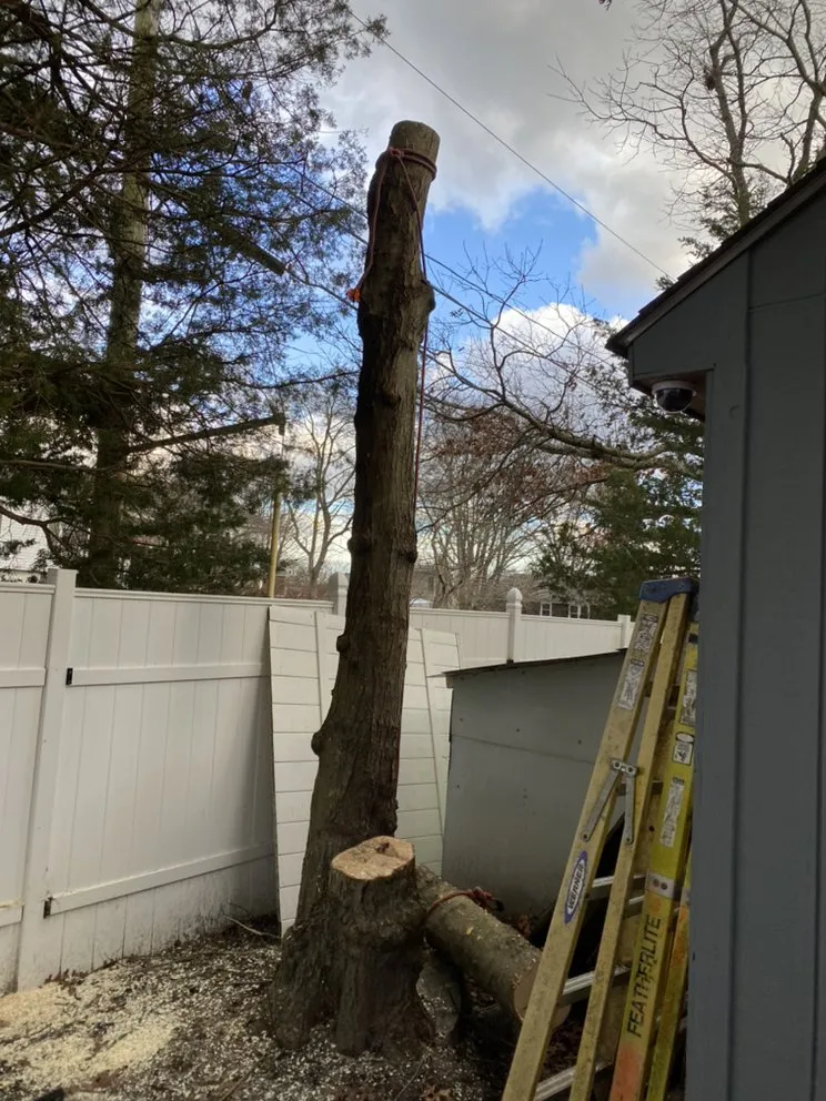 Expert landscape installation for year-round maintenance across Dartmouth, MA - Moniz Landscaping