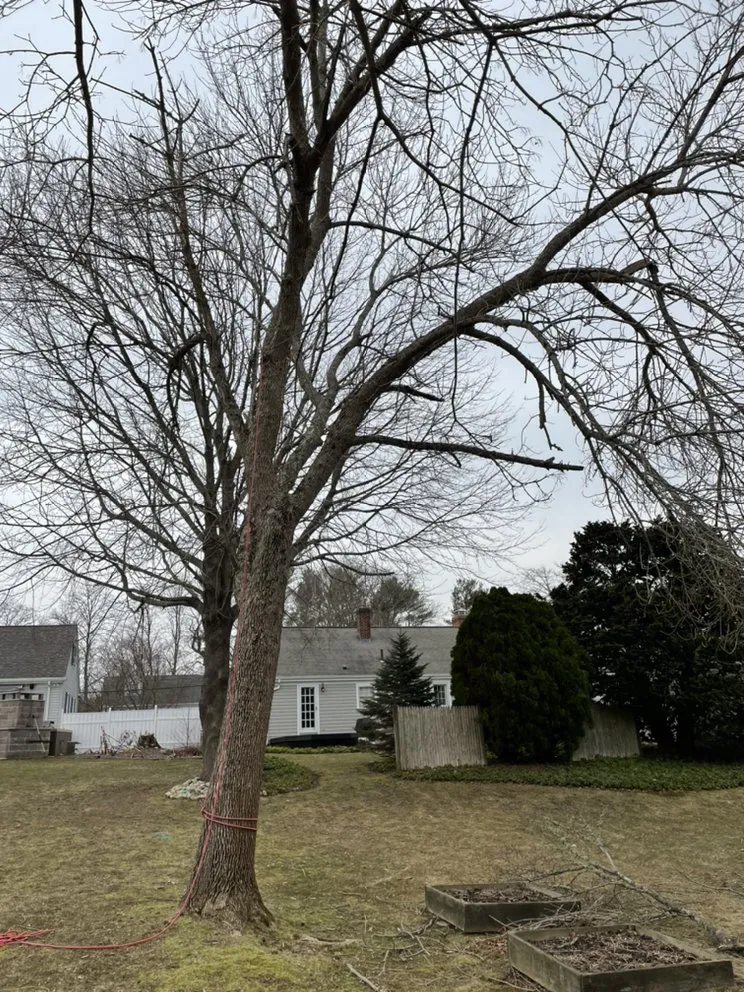 Trusted garden landscaping experts serving Dartmouth, MA - Moniz Landscaping