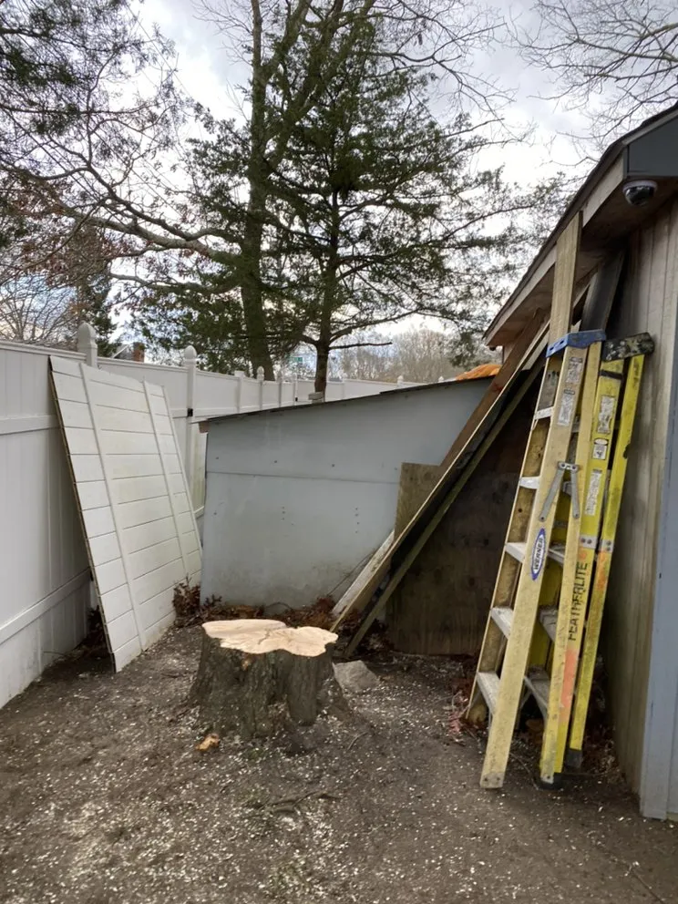 Trusted yard cleanup service in Dartmouth, MA by Moniz Landscaping