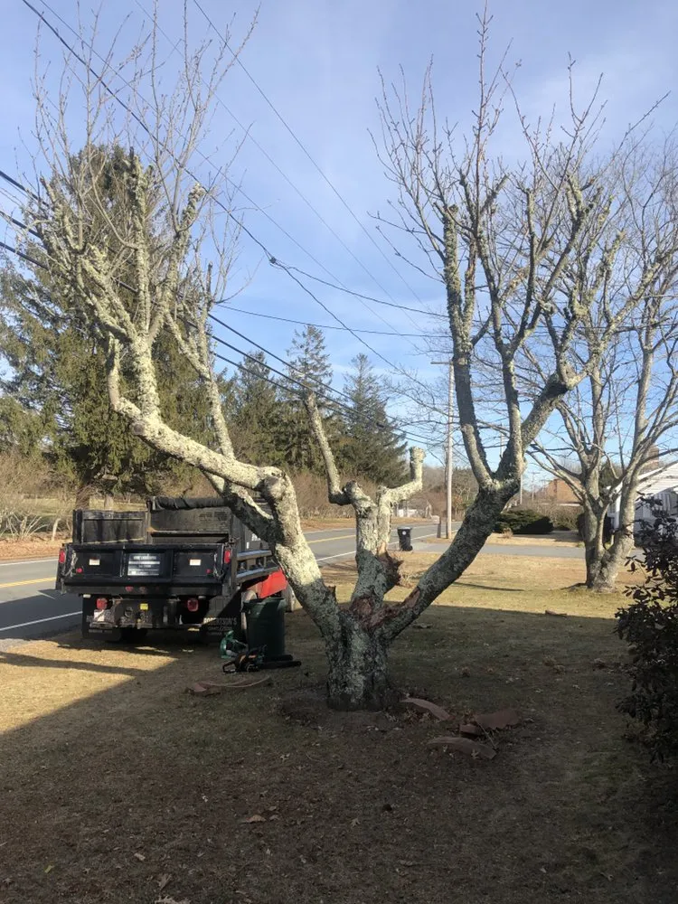 Trusted landscaping services for residential properties in Dartmouth, MA by Moniz Landscaping