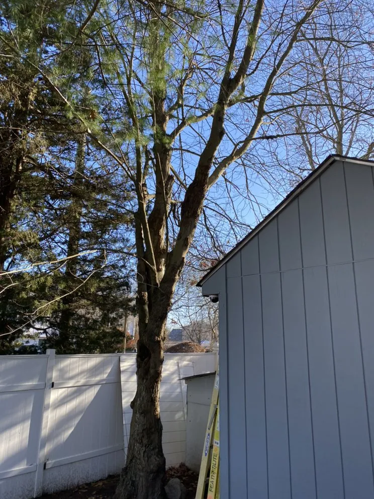 Top-rated landscape installation in Dartmouth, MA - Moniz Landscaping