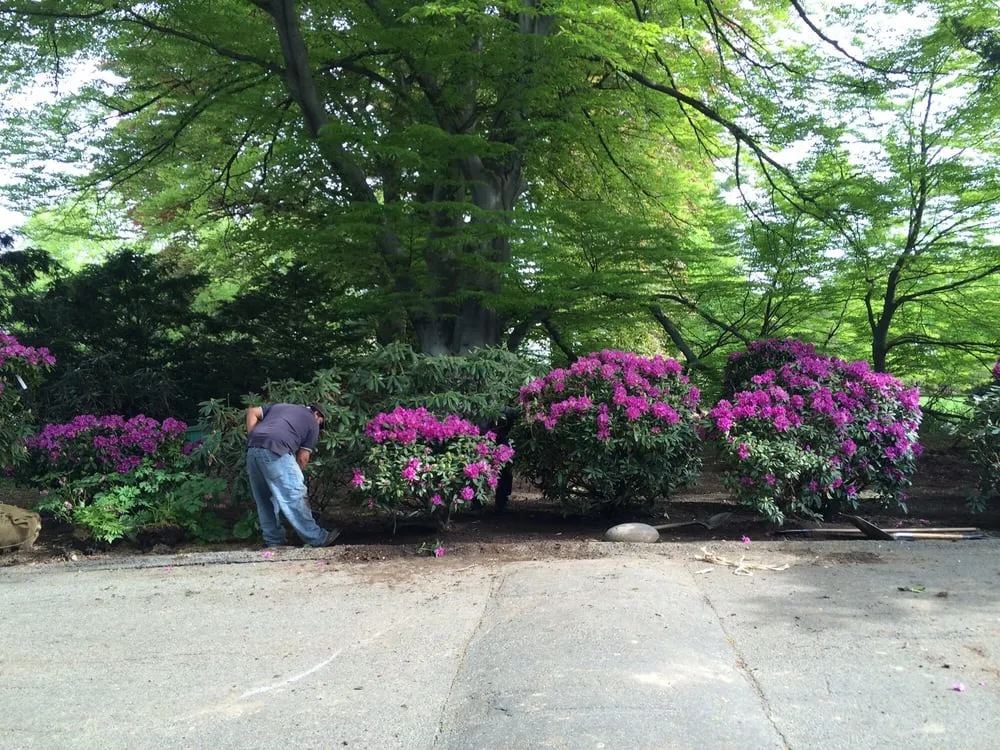 Top-rated yard cleanup service for residential properties across Plainville, MA - Moniz Landscaping