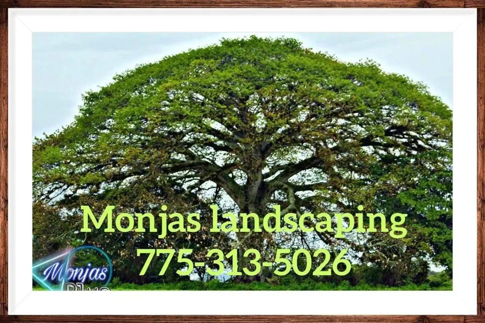 Custom yard cleanup service in Reno, NV by Monjas Landscaping