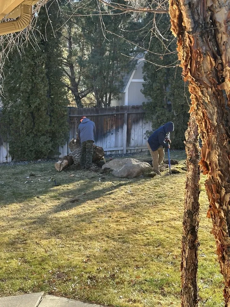 Trusted landscape installation in Reno, NV by Monjas Landscaping