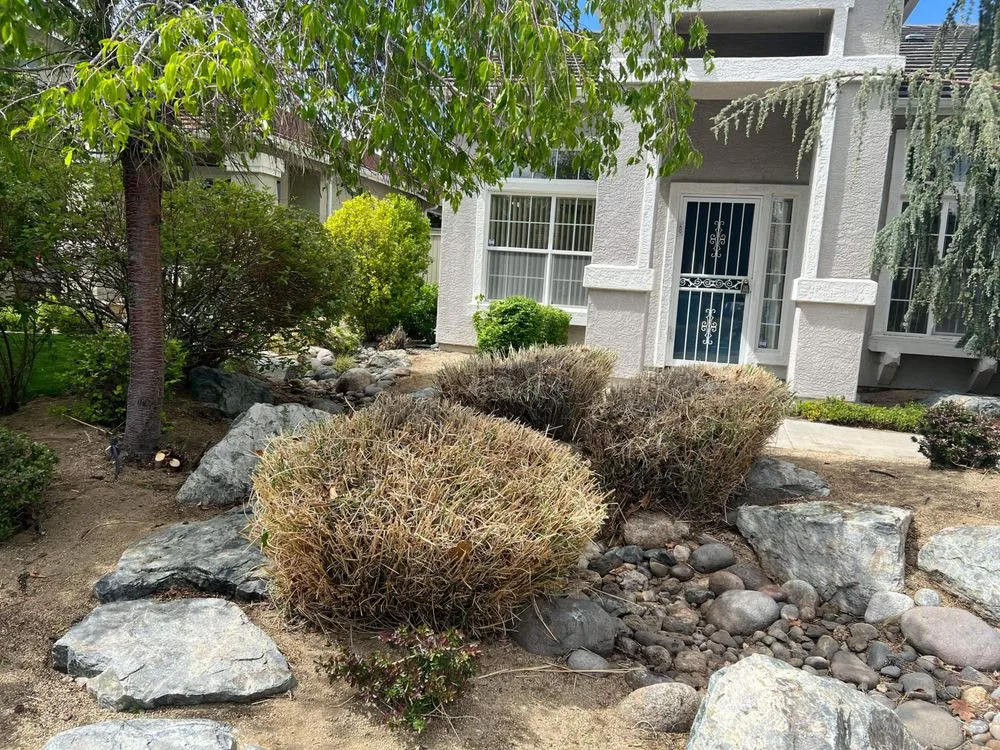 Local lawn mowing service in Reno, NV by Monjas Landscaping