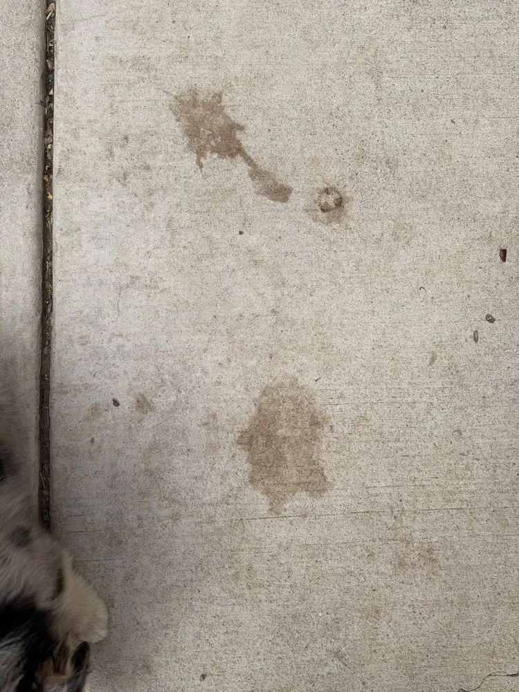 Top-rated landscaping services for residential properties across Reno, NV - Monjas Landscaping