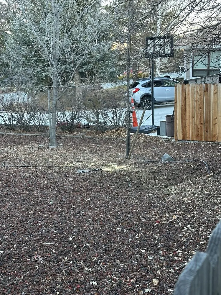 Top-rated lawn mowing service experts serving Reno, NV - Monjas Landscaping