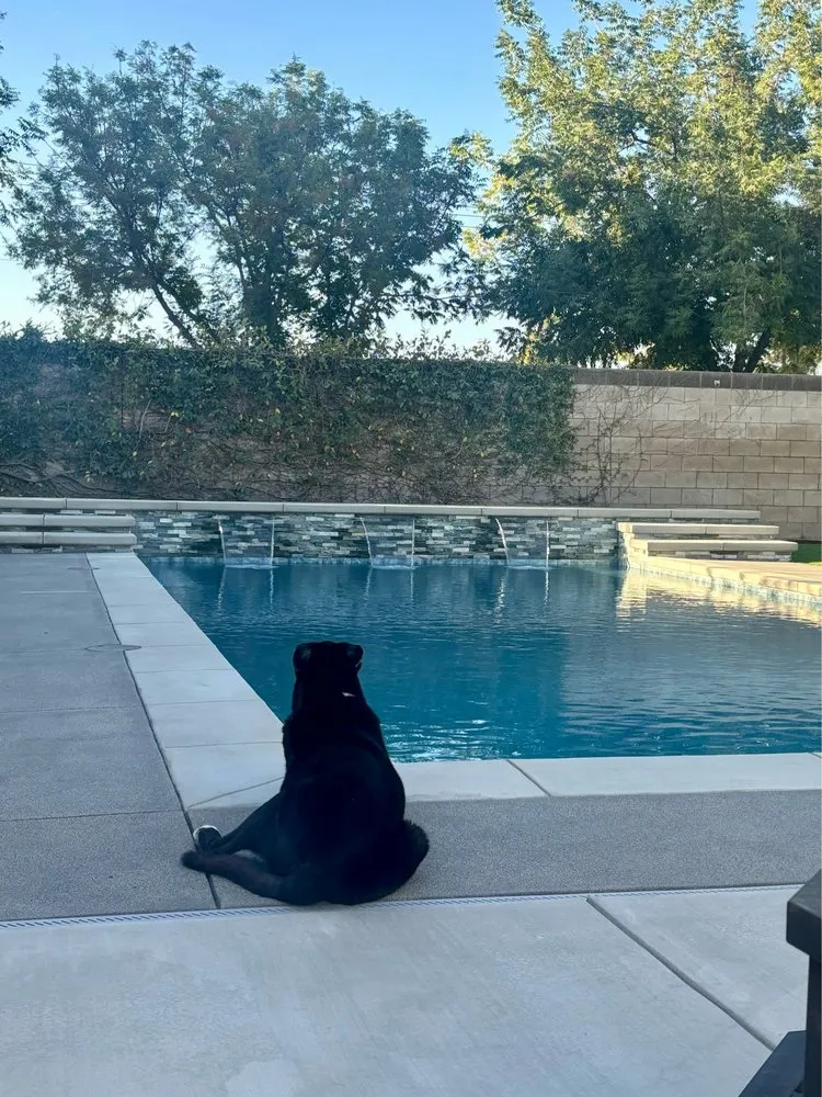 Trusted yard cleanup service experts serving Bakersfield, CA - Monji Landscape Companies