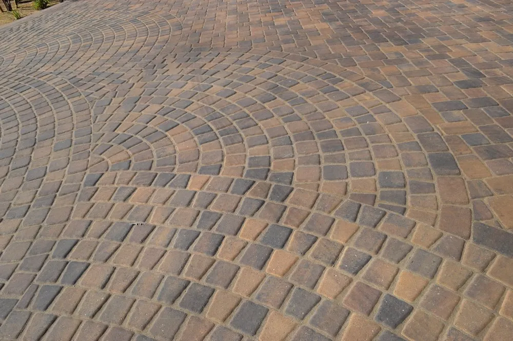 Expert yard cleanup service experts serving Bakersfield, CA - Monji Landscape Companies