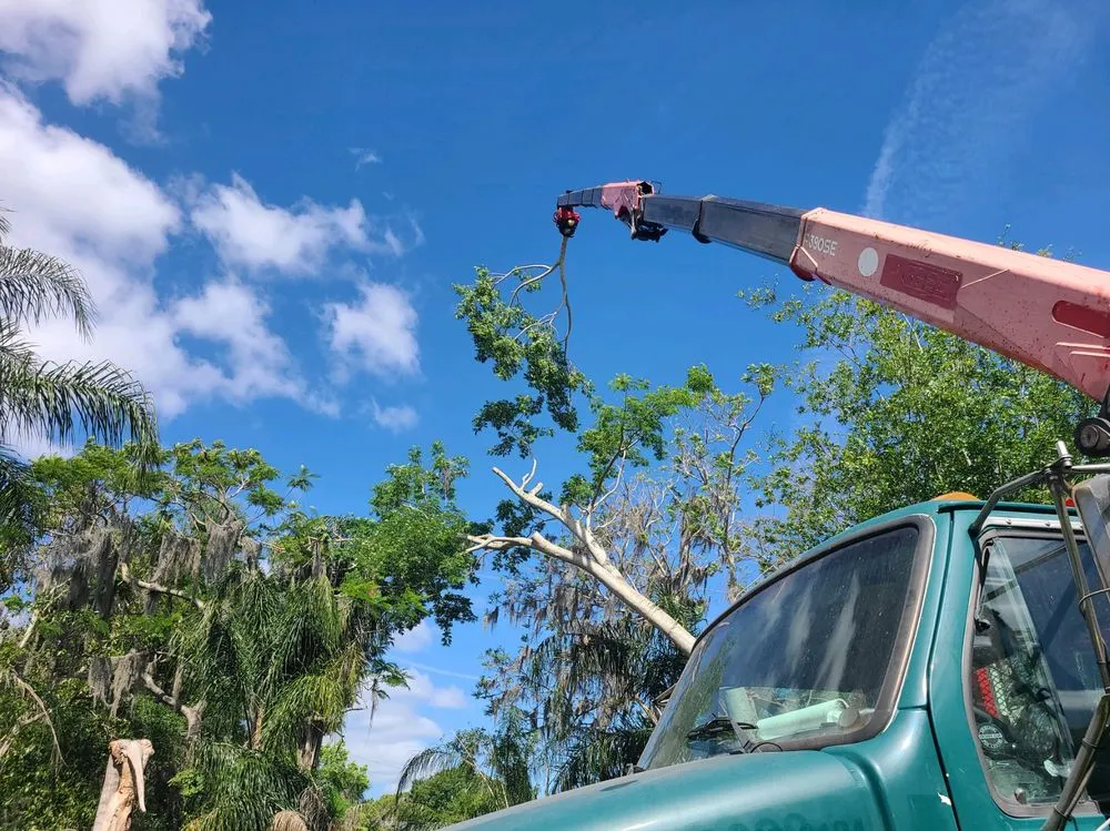 Professional landscape installation near you across Winter Haven, FL - Monkey Business Tree & Crane Service