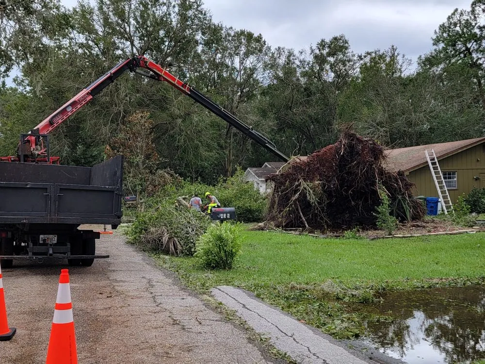 Trusted landscaping services for homes in Winter Haven, FL by Monkey Business Tree & Crane Service
