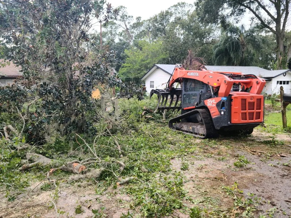 Local landscape design experts serving Winter Haven, FL - Monkey Business Tree & Crane Service
