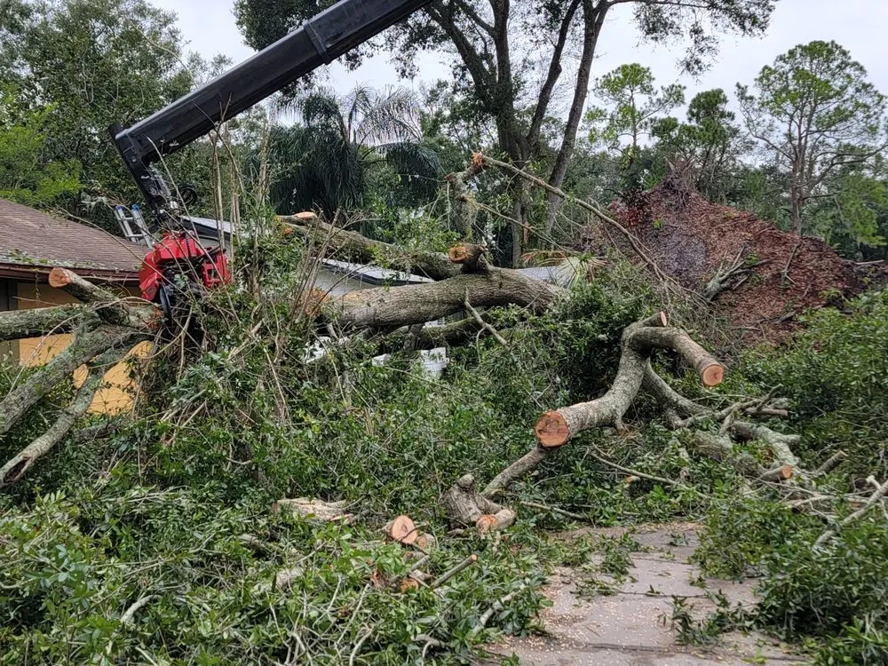 Affordable lawn mowing service in Winter Haven, FL - Monkey Business Tree & Crane Service