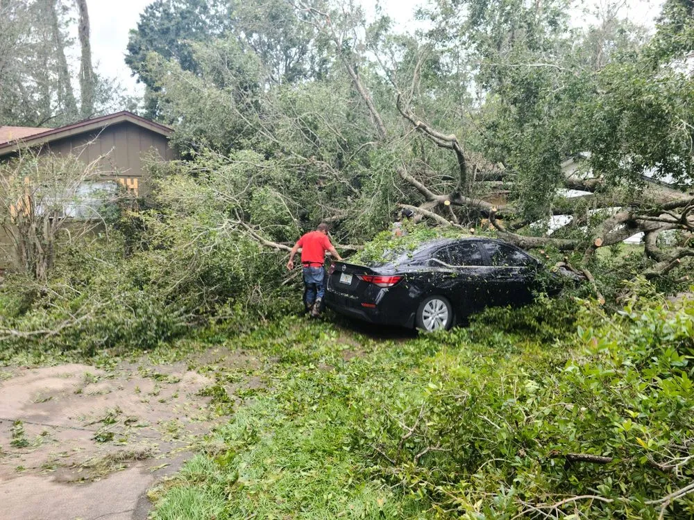 Reliable landscaping services for beautiful yards in Winter Haven, FL by Monkey Business Tree & Crane Service