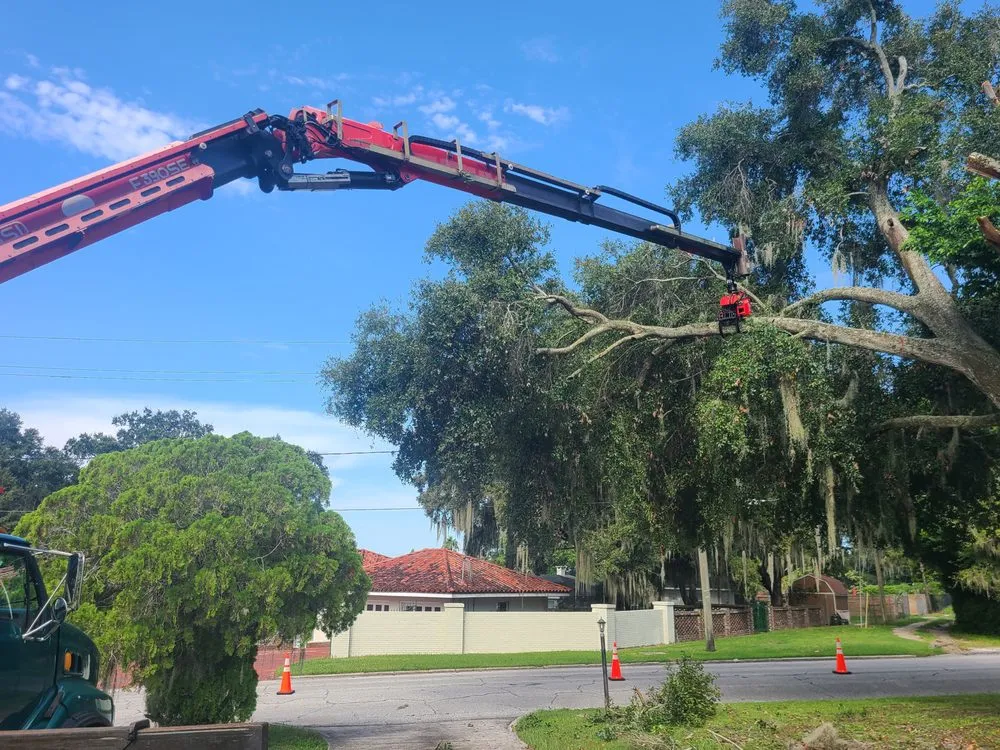 Custom outdoor landscaping for homes in Winter Haven, FL by Monkey Business Tree & Crane Service