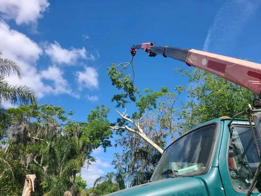 Monkey Business Tree & Crane Service Logo