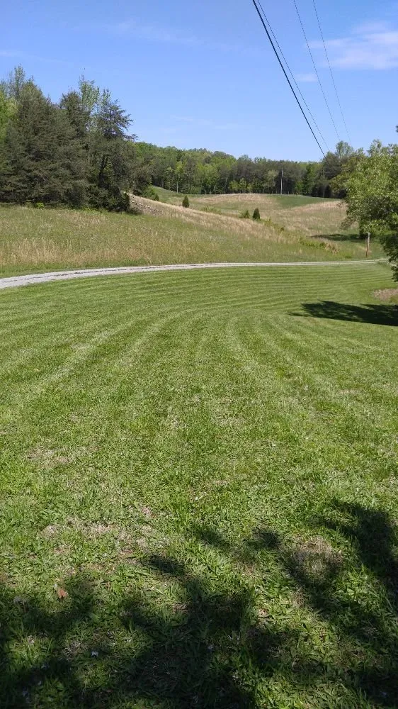 Professional landscaping services in Dayton, TN - Monkey Cuts Lawn Service